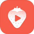草莓污成视频人app